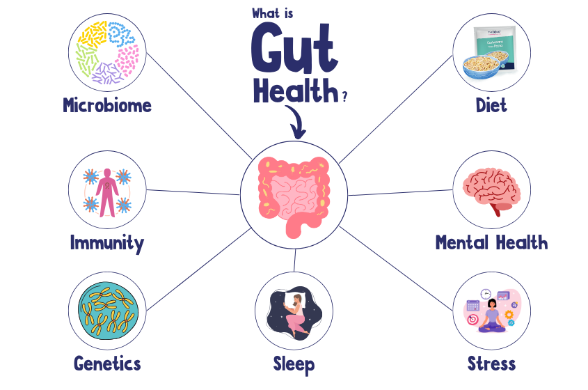 Gut Health Diagram How it works