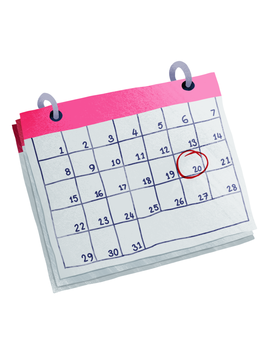 a diet Consultant The 11 Diet by Cambridge Weight Plan